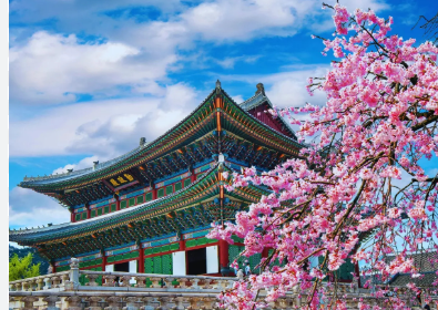 Best Countries For solo travel